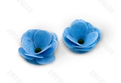 Two blue flowers intended for SPA