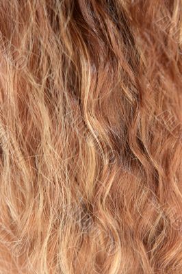 The woman hair