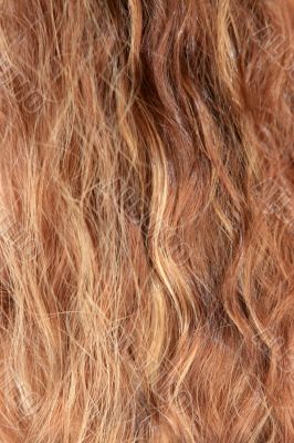 The women hair
