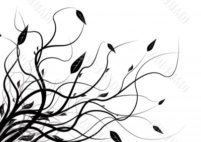 floral silhouette