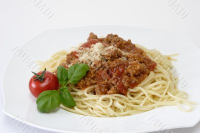 Bolognese 4