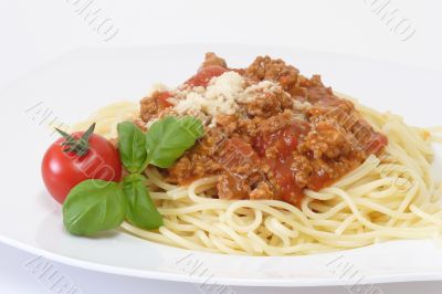 Bolognese 2