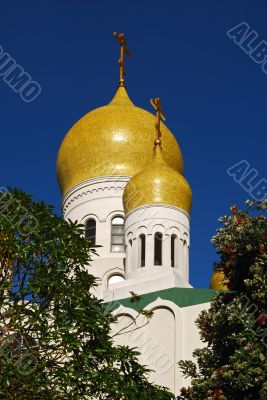 The Orthodox church dome surrounded by trees