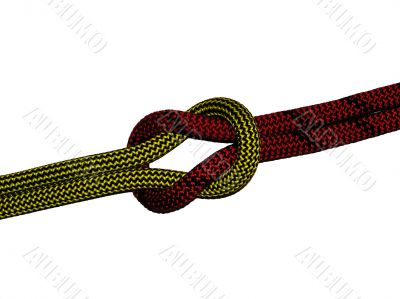 The Reef Knot