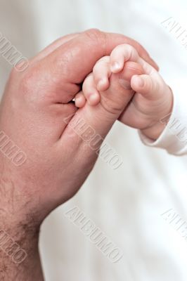 baby`s and big man`s hand