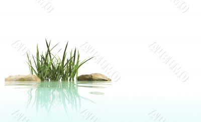 stones and grass