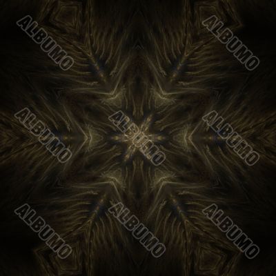 Feather Star Abstract