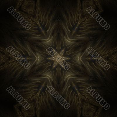 Feather Star Abstract