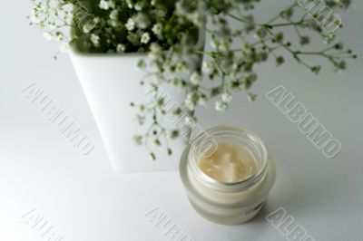 flowers in vase and creme