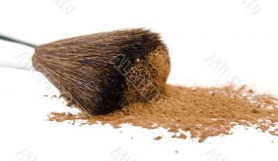 brush and powder over white