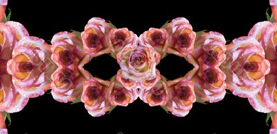Collage of roses