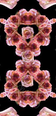 Collage of roses