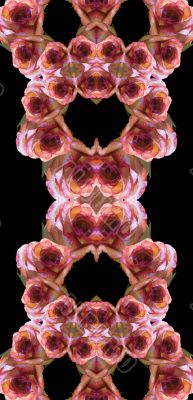 Collage of roses