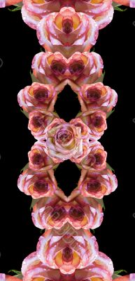 Collage of roses