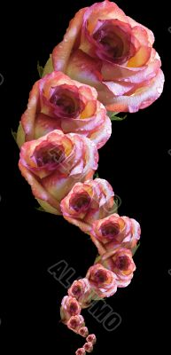 Collage of roses