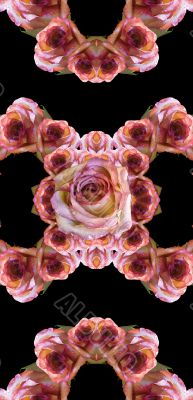 Collage of roses
