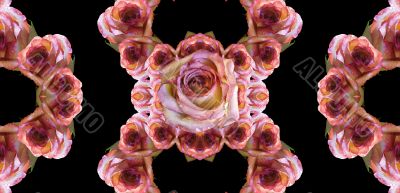 Collage of roses