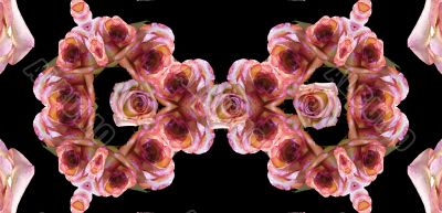 Collage of roses