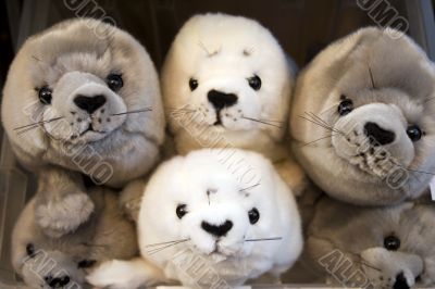 many seals