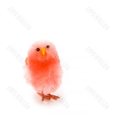 orange easter chicken