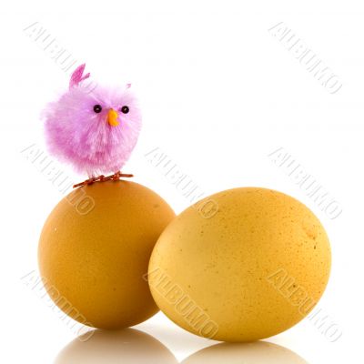 pink chicken