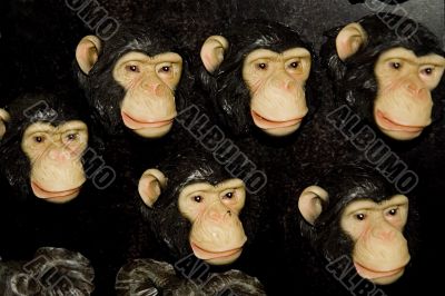 monkeys
