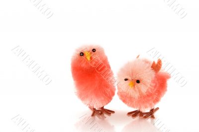 couple easter chickens