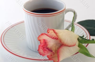 Coffee hour with rose