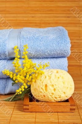 Bath accessories