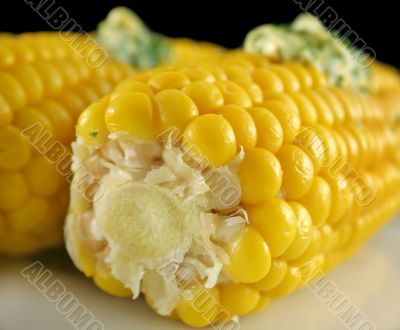 Fresh Corn 7