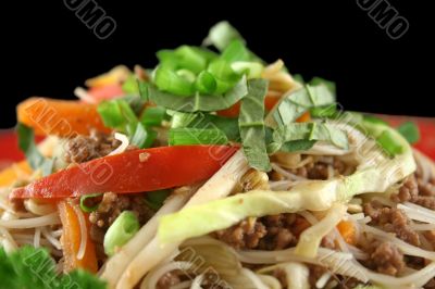 Beef Chow Mein 6