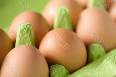 Eggs