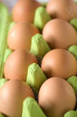 Eggs