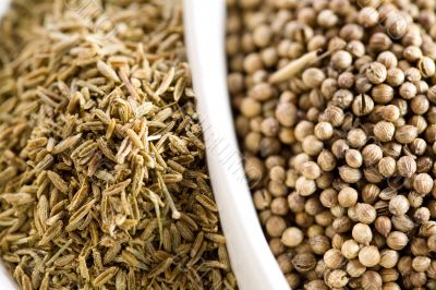 Cumin and koriander