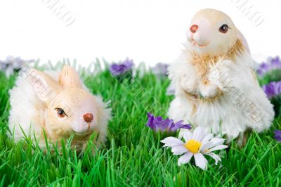 Easter bunnies
