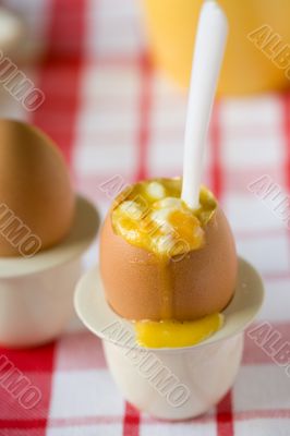 Safraan egg