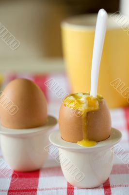 Safraan egg
