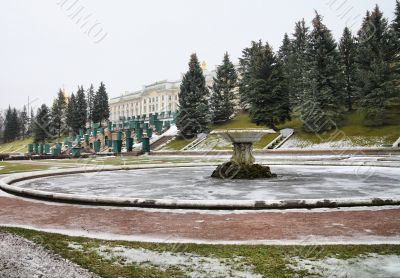 Fountain  Cup