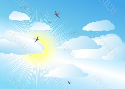 sky and sun / vector background