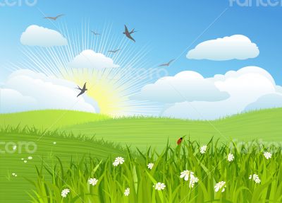 Beautiful sun day