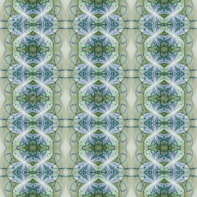 Ornate Pattern Abstract