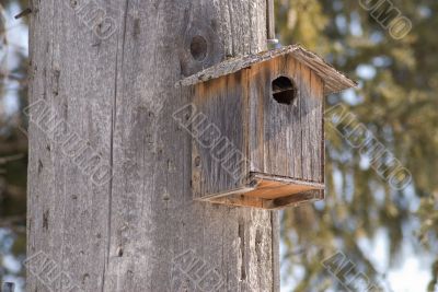 Wooden Birdhouse