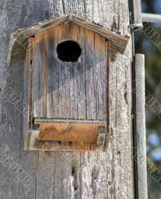 Homemade Birdhouse