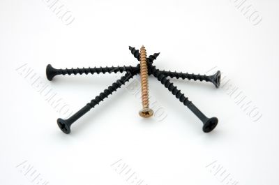 Screws.