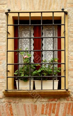 Windows