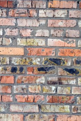 old wall from a red brick. background 2