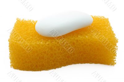 Sponge and soap.