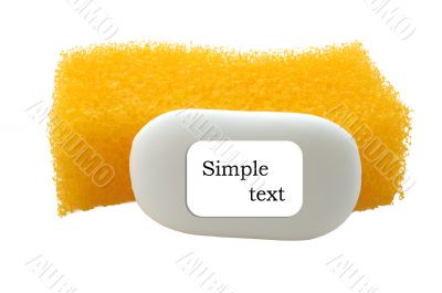 Sponge and soap.