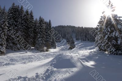 Tien Shan