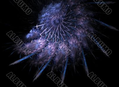 Ammonite